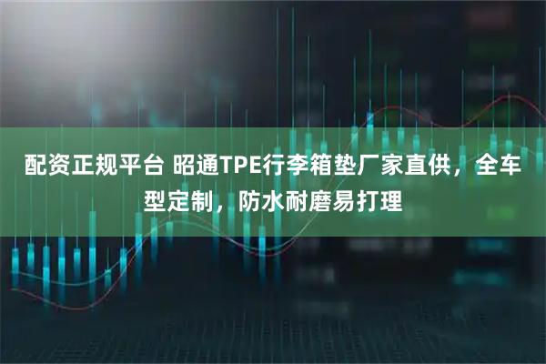 配资正规平台 昭通TPE行李箱垫厂家直供，全车型定制，防水耐磨易打理