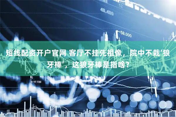 短线配资开户官网 客厅不挂先祖像,院中不栽‘狼牙棒’,这狼牙棒是指啥?