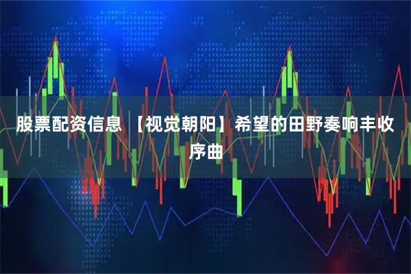 股票配资信息 【视觉朝阳】希望的田野奏响丰收序曲